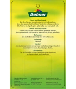 Nashi-Birne 'Nijiseiki' -Gardena Store 7719826 Nashi BirneNijiseiki Etikett 2