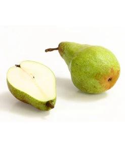 Winterbirne 'Novembra' 5 Winterbirne 'Novembra' -Gardena Store 7723695 WE DE 004 BirneNovemberDehnerExpressHerzig