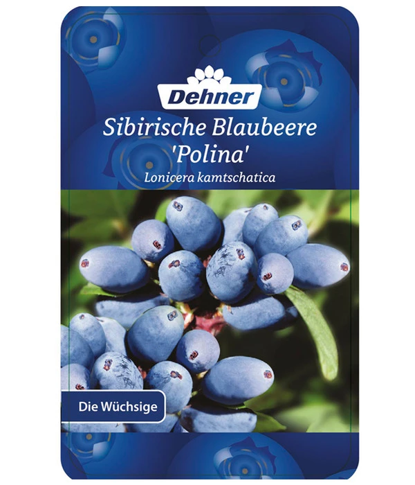 Maibeere 5 Maibeere – Bild 5