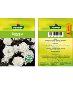 Edelrosen-Mix 'Nostalgie®' -Gardena Store 7800063 AlabasterBeetrose Etikett1
