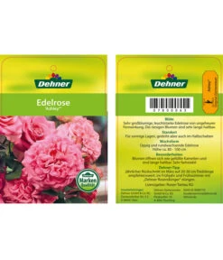 Edelrosen-Mix 'Nostalgie®' -Gardena Store 7800063 AshleyEdelrose Etikett1