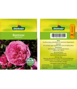 Edelrosen-Mix 'Nostalgie®' -Gardena Store 7800063 BaronesseBeetrose Etikett1