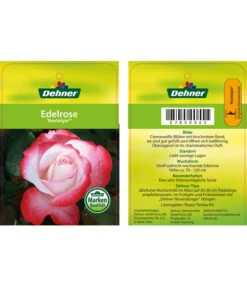 Edelrosen-Mix 'Nostalgie®' -Gardena Store 7800063 NostalgieEdelrose Etikett1