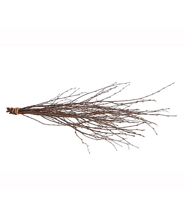 Birkenzweige-Bund, Ca. 70 Cm 2 Birkenzweige-Bund, Ca. 70 Cm – Bild 2