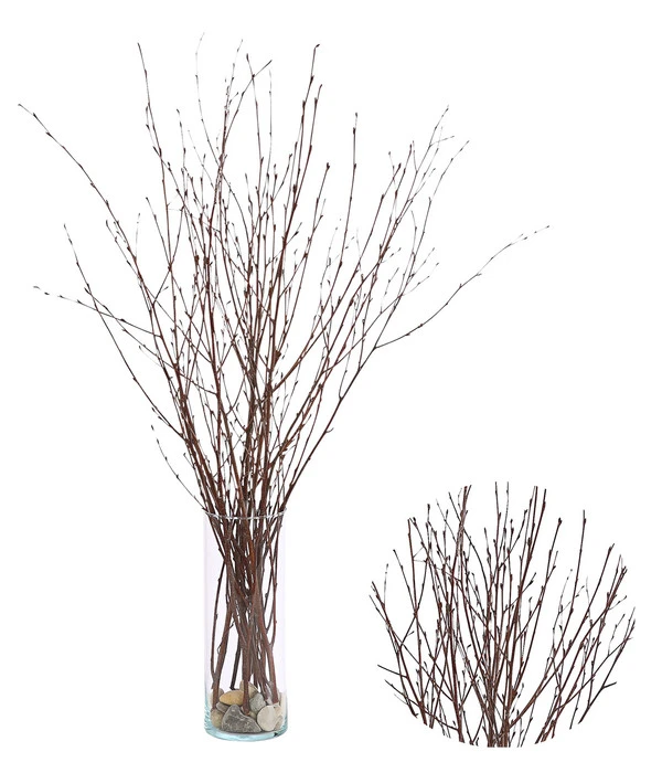 Birkenzweige-Bund, Ca. 70 Cm 1 Birkenzweige-Bund, Ca. 70 Cm