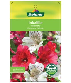 Inkalilie, Verschiedene Sorten -Gardena Store 8211872 InkalilieInticancha Etikett 1