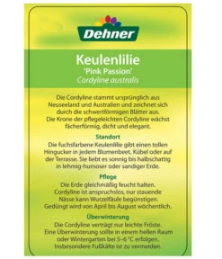 Keulenlilie 'Pink Passion' 9 Keulenlilie 'Pink Passion' -Gardena Store 8261828 CorylinePinkPassionEtikett2