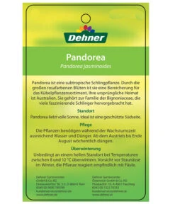 Laubenwein -Gardena Store 8600397 PandoreaEtikett2
