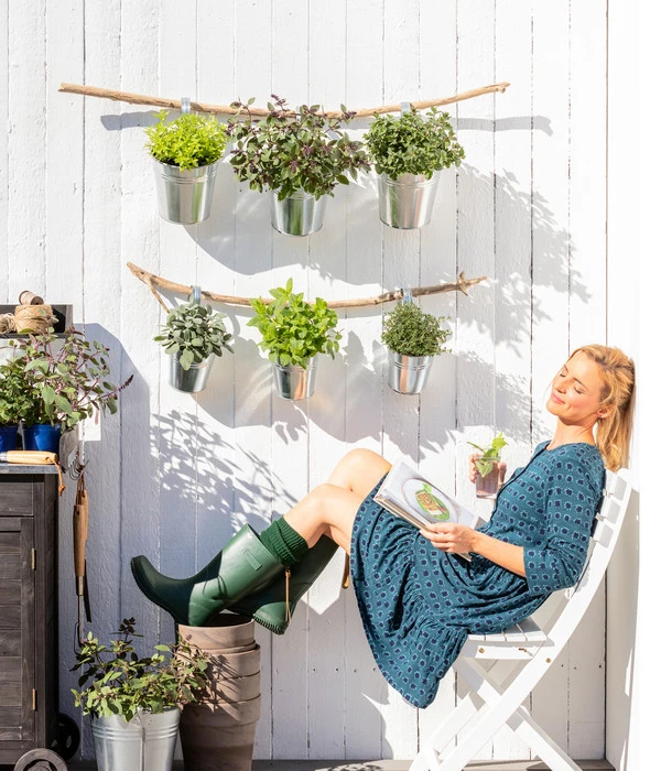 Dehner Gourmet Garten Oregano 3 Dehner Gourmet Garten Oregano – Bild 3