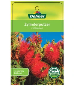 Zylinderputzer, Busch -Gardena Store 8620429 CallistemonEtikett1