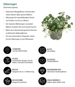Silberregen -Gardena Store 8809550 WE IG 001 Silberregen