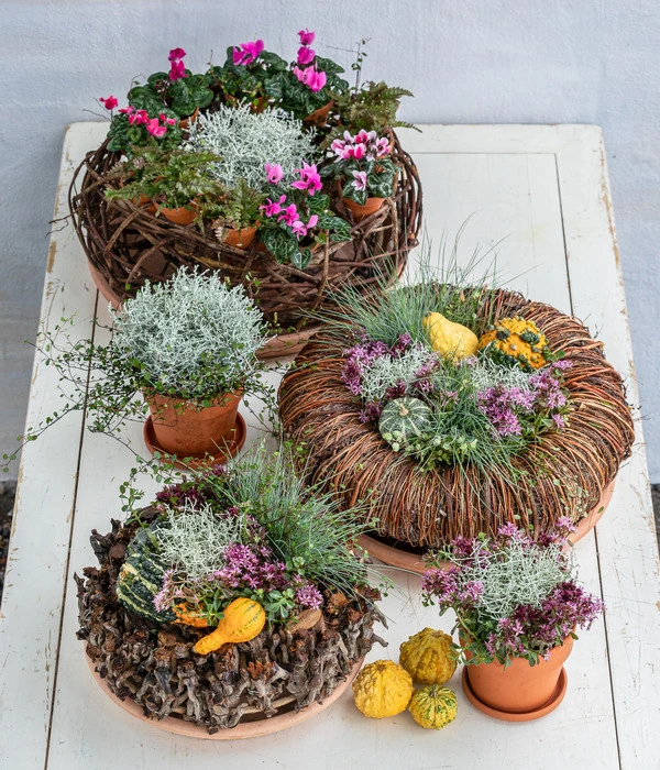 Dehner Kranz Twig, Ca. Ø30 Cm 2 Dehner Kranz Twig, Ca. Ø30 Cm – Bild 2