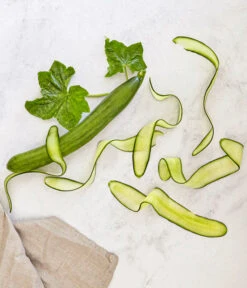 Bioland Gurke, Veredelt 9 Bioland Gurke, Veredelt -Gardena Store 8830853 WE MO 001 SchlangengurkeveredeltRenner