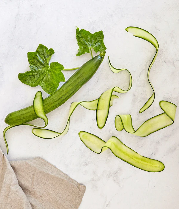 Bioland Gurke, Veredelt 4 Bioland Gurke, Veredelt – Bild 4