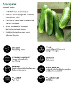 Snackgurke -Gardena Store 8830960 WE IG 001 Snackgurke