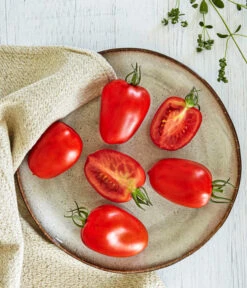 Bioland Eiertomate -Gardena Store 8831463 WE MO 001 BiolandEiertomate