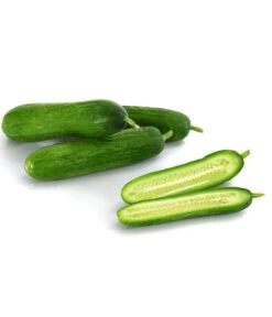 Snackgurke -Gardena Store 8833063 8830960 WE DE 001 GourmetGartenSnackgurkeVeredelt