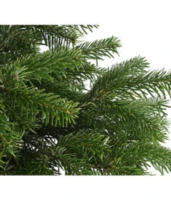 Nordmann-Tanne, Ca. 60-80 Cm, Im Topf Gewachsen -Gardena Store 8995763 WE DE 003 AbiesNordmannianaNordmanntanne60 80DehnerExpressHerzig