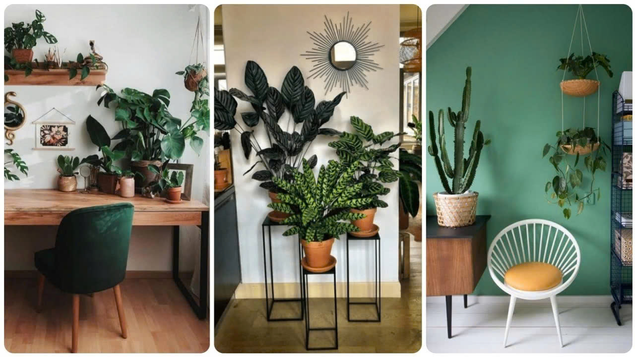 Gardena Store -Gardena Store z6615199670461 da8e63521d21ac9e18f7e5d4ef35e78b