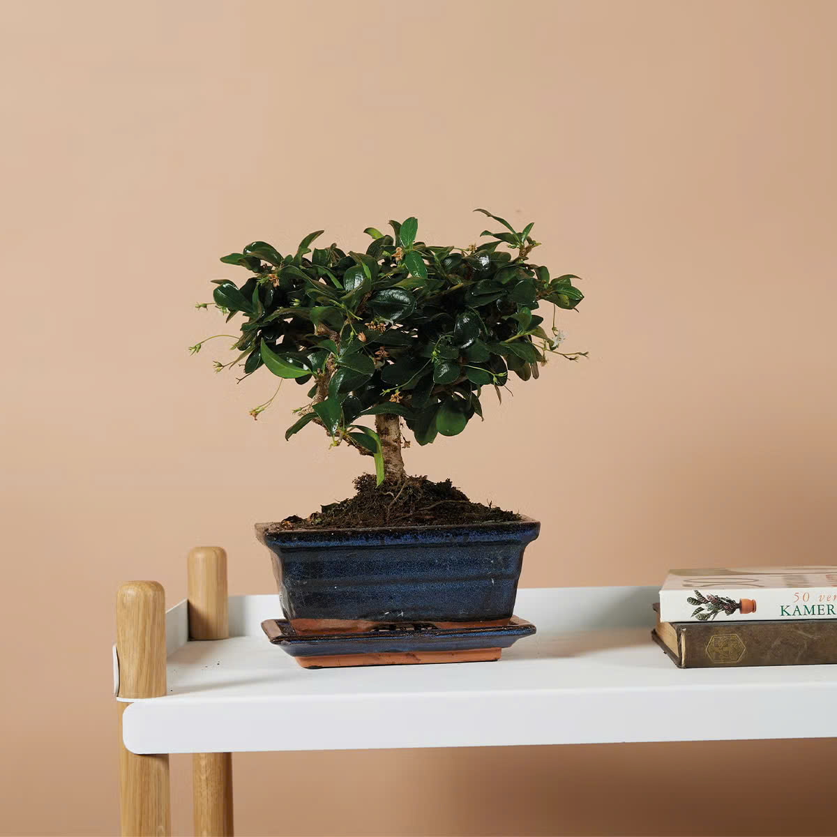 Gardena Store -Gardena Store z6615201048424 2eb203579bd7b93a868400209e6ffde0